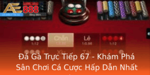 A Ga Truc Tiep 67 Kham Pha San Choi Ca Cuoc Hap Dan Nhat Hien Nay