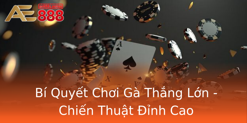 Bí Quyết Chơi Gà Thắng Lớn - Chiến Thuật Đỉnh Cao Bí Quyết Chơi Gà Thắng Lớn - Chiến Thuật Đỉnh Cao