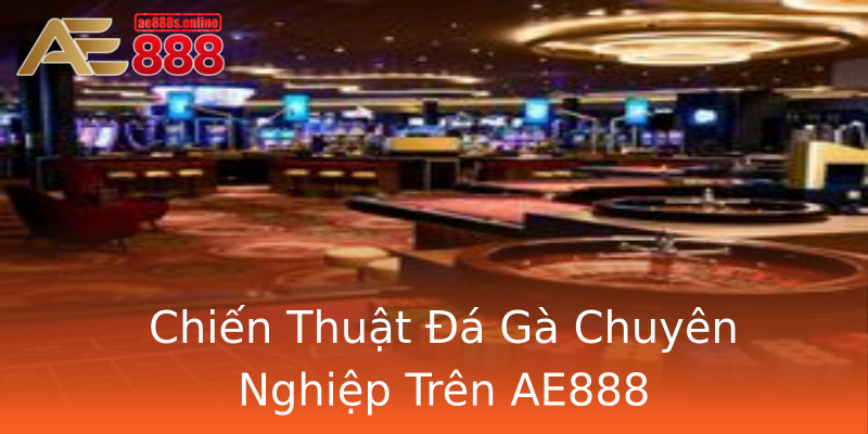 Chiến Thuật Đá Gà Chuyên Nghiệp Trên AE888 Chiến Thuật Đá Gà Chuyên Nghiệp Trên AE888