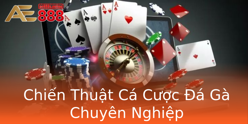 Chiến Thuật Cá Cược Đá Gà Chuyên Nghiệp Chiến Thuật Cá Cược Đá Gà Chuyên Nghiệp