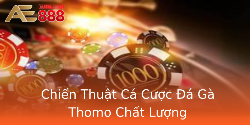 Chiến Thuật Cá Cược Đá Gà Thomo Chất Lượng Chiến Thuật Cá Cược Đá Gà Thomo Chất Lượng