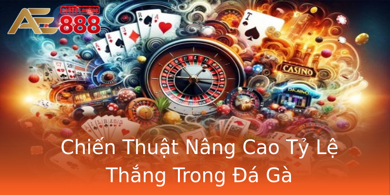 Chiến Thuật Nâng Cao Tỷ Lệ Thắng Trong Đá Gà Chiến Thuật Nâng Cao Tỷ Lệ Thắng Trong Đá Gà