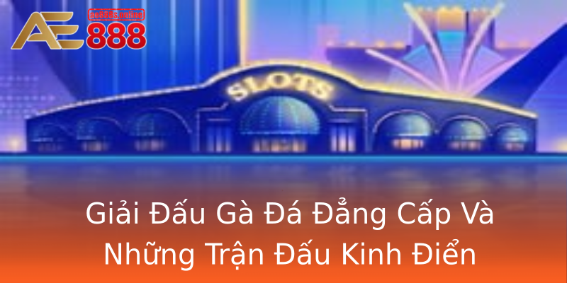 Giải Đấu Gà Đá Đẳng Cấp Và Những Trận Đấu Kinh Điển Giải Đấu Gà Đá Đẳng Cấp Và Những Trận Đấu Kinh Điển