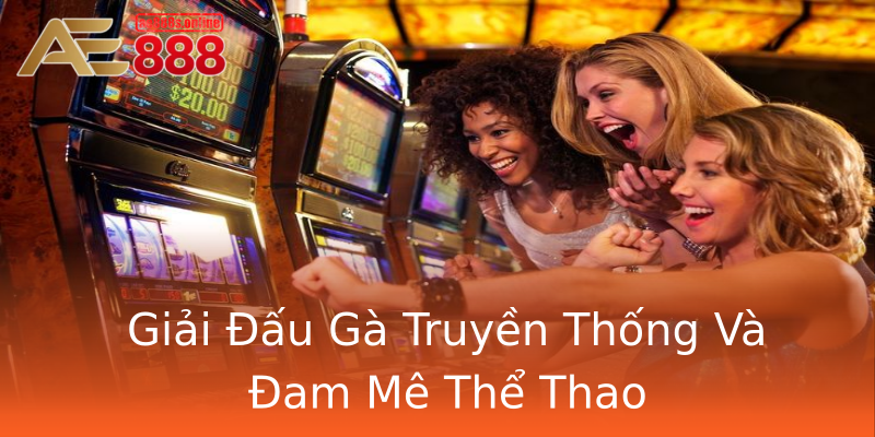 Giải Đấu Gà Truyền Thống Và Đam Mê Thể Thao Giải Đấu Gà Truyền Thống Và Đam Mê Thể Thao