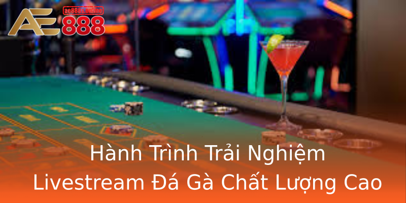 Hành Trình Trải Nghiệm Livestream Đá Gà Chất Lượng Cao Hành Trình Trải Nghiệm Livestream Đá Gà Chất Lượng Cao