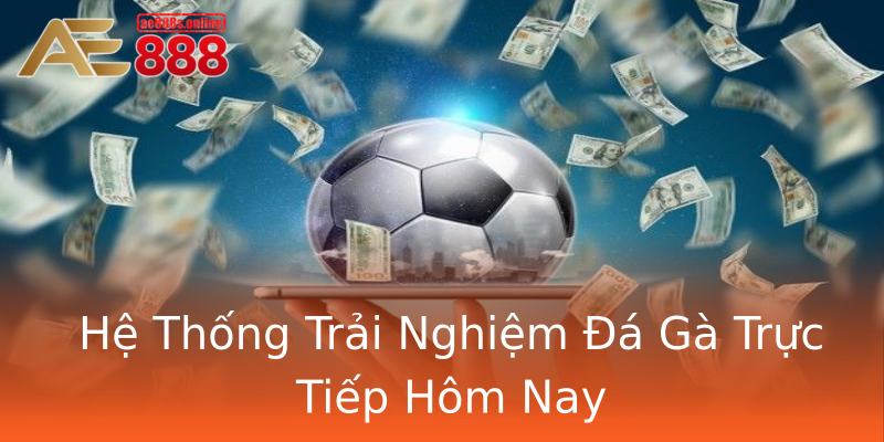 Hệ Thống Trải Nghiệm Đá Gà Trực Tiếp Hôm Nay Hệ Thống Trải Nghiệm Đá Gà Trực Tiếp Hôm Nay
