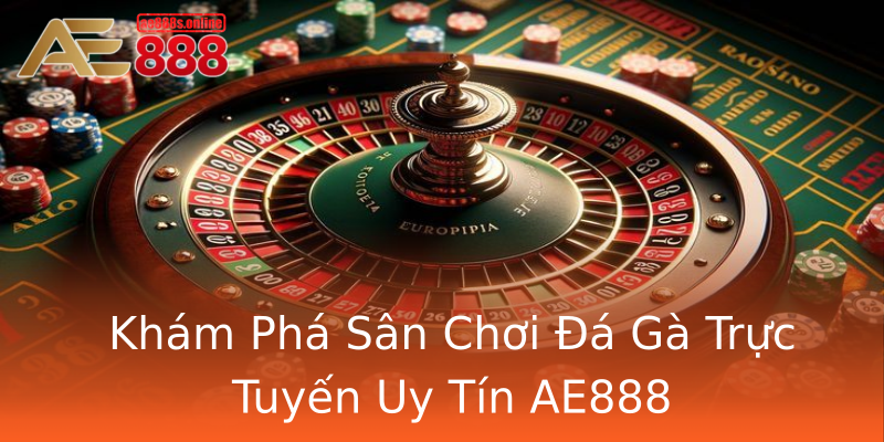 Khám Phá Sân Chơi Đá Gà Trực Tuyến Uy Tín AE888 Khám Phá Sân Chơi Đá Gà Trực Tuyến Uy Tín AE888
