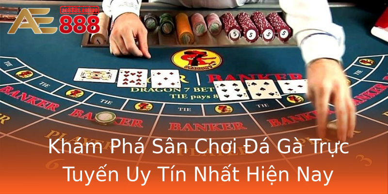 Khám Phá Sân Chơi Đá Gà Trực Tuyến Uy Tín Nhất Hiện Nay Khám Phá Sân Chơi Đá Gà Trực Tuyến Uy Tín Nhất Hiện Nay