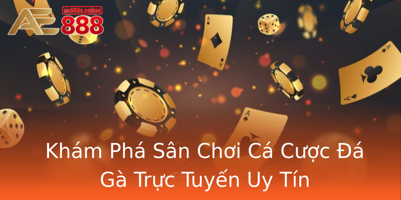 Khám Phá Sân Chơi Cá Cược Đá Gà Trực Tuyến Uy Tín Khám Phá Sân Chơi Cá Cược Đá Gà Trực Tuyến Uy Tín