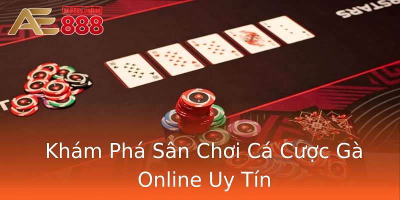 Khám Phá Sân Chơi Cá Cược Gà Online Uy Tín Khám Phá Sân Chơi Cá Cược Gà Online Uy Tín