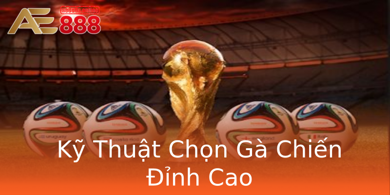 Kỹ Thuật Chọn Gà Chiến Đỉnh Cao Kỹ Thuật Chọn Gà Chiến Đỉnh Cao