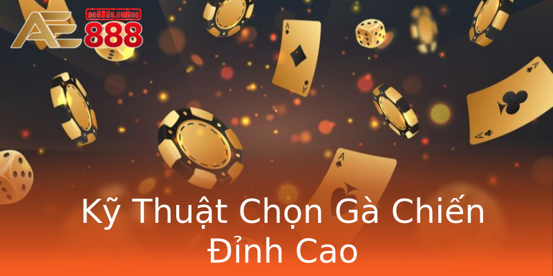 Kỹ Thuật Chọn Gà Chiến Đỉnh Cao Kỹ Thuật Chọn Gà Chiến Đỉnh Cao