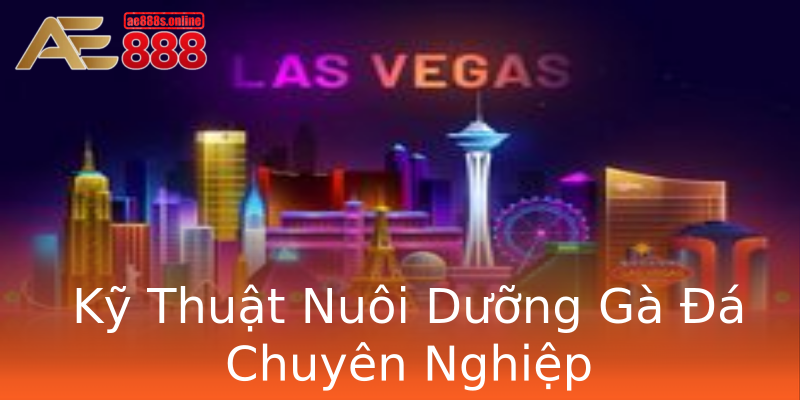 Kỹ Thuật Nuôi Dưỡng Gà Đá Chuyên Nghiệp Kỹ Thuật Nuôi Dưỡng Gà Đá Chuyên Nghiệp