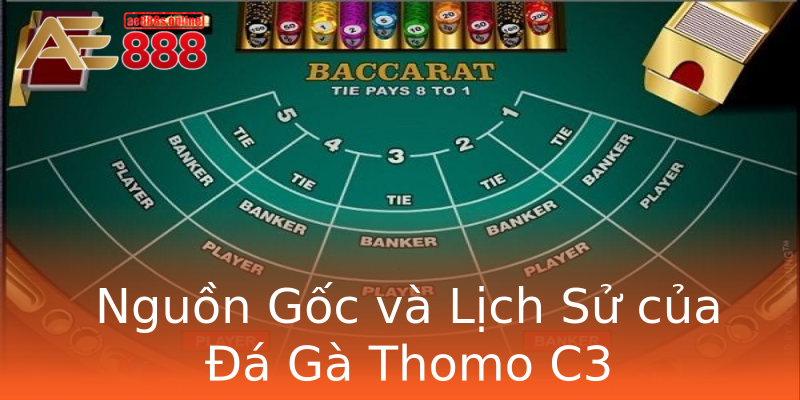 Nguồn Gốc và Lịch Sử của Đá Gà Thomo C3 Nguồn Gốc và Lịch Sử của Đá Gà Thomo C3