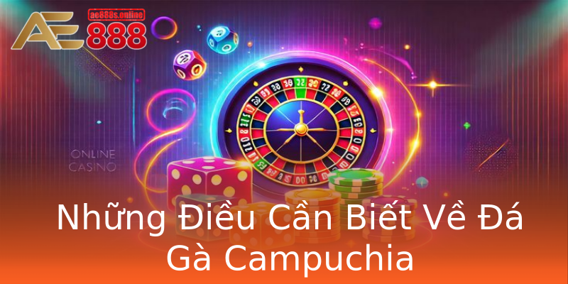 Những Điều Cần Biết Về Đá Gà Campuchia Những Điều Cần Biết Về Đá Gà Campuchia