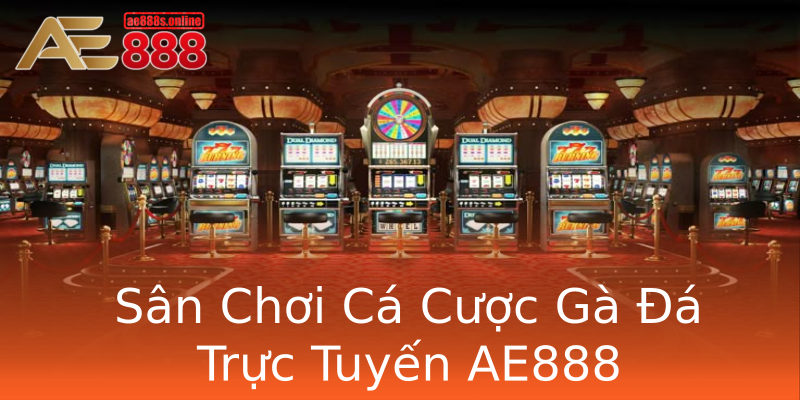 Sân Chơi Cá Cược Gà Đá Trực Tuyến AE888 Sân Chơi Cá Cược Gà Đá Trực Tuyến AE888