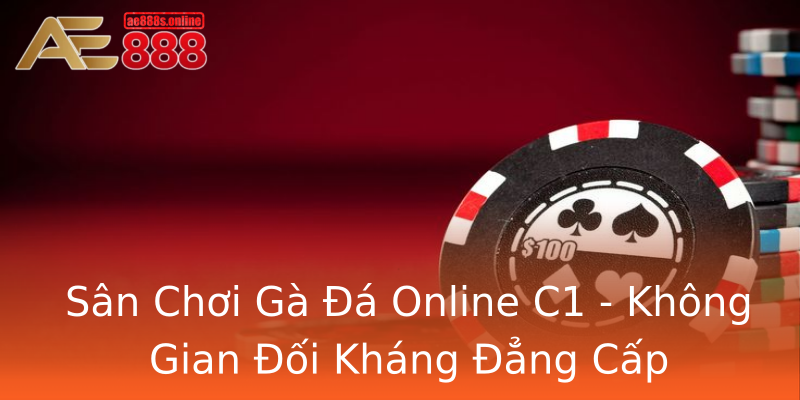 Sân Chơi Gà Đá Online C1 - Không Gian Đối Kháng Đẳng Cấp Sân Chơi Gà Đá Online C1 - Không Gian Đối Kháng Đẳng Cấp