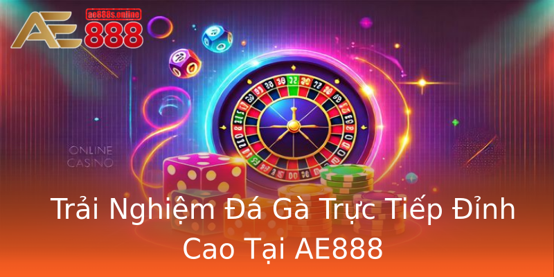 Trải Nghiệm Đá Gà Trực Tiếp Đỉnh Cao Tại AE888 Trải Nghiệm Đá Gà Trực Tiếp Đỉnh Cao Tại AE888