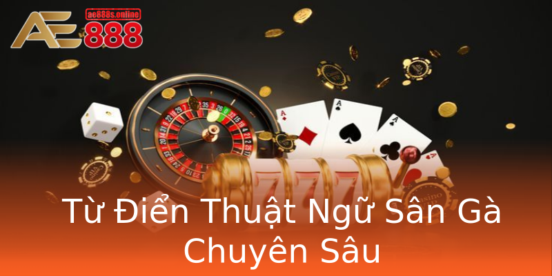 Từ Điển Thuật Ngữ Sân Gà Chuyên Sâu Từ Điển Thuật Ngữ Sân Gà Chuyên Sâu