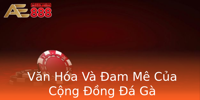 Văn Hóa Và Đam Mê Của Cộng Đồng Đá Gà Văn Hóa Và Đam Mê Của Cộng Đồng Đá Gà